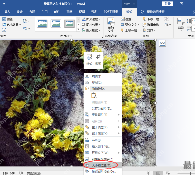 Word 图片右键菜单中的大小和位置入口,用于打开图片布局设置