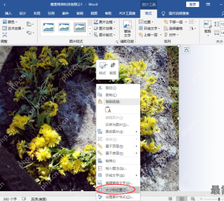 Word 图片右键菜单中的大小和位置入口，用于打开图片布局设置