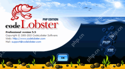 php开发工具排行榜2025 好用的php开发工具前十名推荐 - php中文网