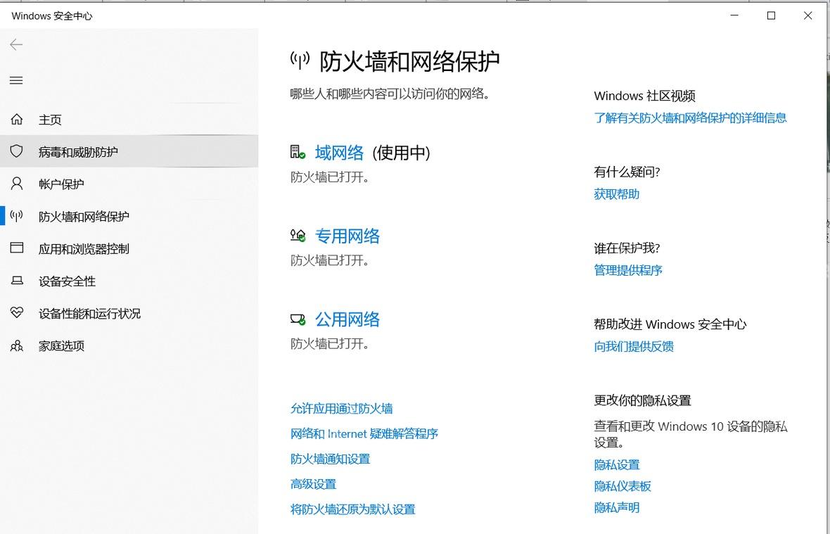 Windows 10 防火墙和网络保护页面显示域专用公用网络