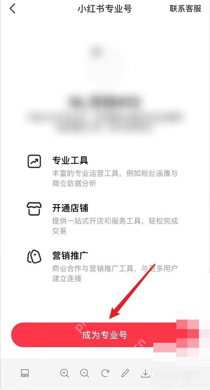 小红书专业号页面立即开通按钮,用于提交开通专业号操作