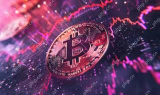 数字货币交易费是多少 - php中文网