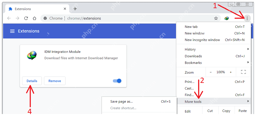 Chrome Windows 扩展详情页显示 IDM Integration Module,对应添加后进入详情页。