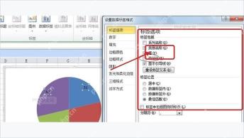 Excel设置数据标签格式窗口中勾选百分比选项