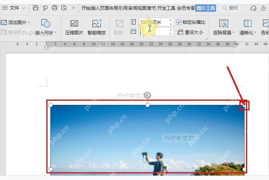WPS 文档中拖动图片角点调整图片大小