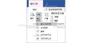 插入图片后查看 Word 图片布局选项