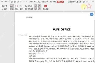 如何显示/不显示PDF文档中的测试结果面板？中间操作