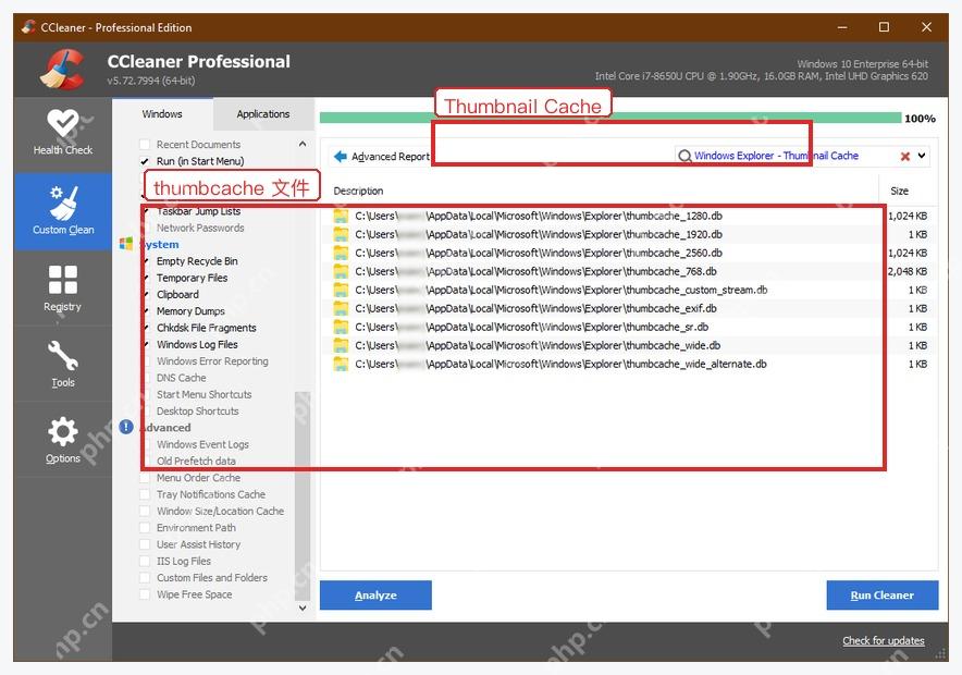 CCleaner Windows 电脑端 Advanced Report 里 Windows Explorer Thumbnail Cache 文件列表