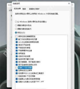 Win11 性能选项取消在窗口下显示阴影