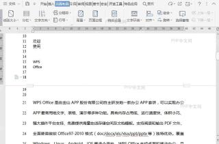 WPS如何设置调整文档行编号选项?入口位置
