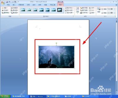 Word 图片布局选项设置环绕文字