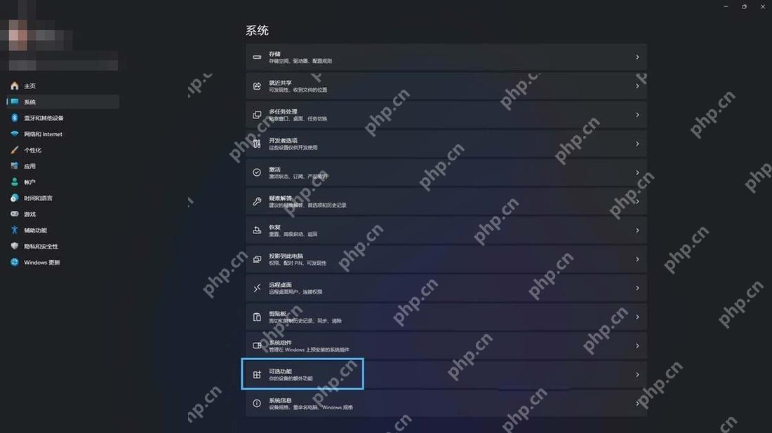 Win11 设置应用中的可选功能入口