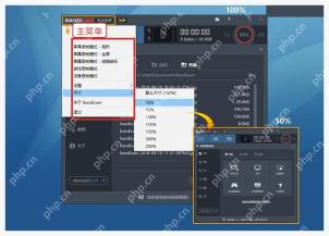 Bandicam Windows 主窗口菜单中调整窗口尺寸方便查看状态栏