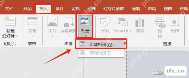 WPS演示插入选项卡中打开分页插图入口