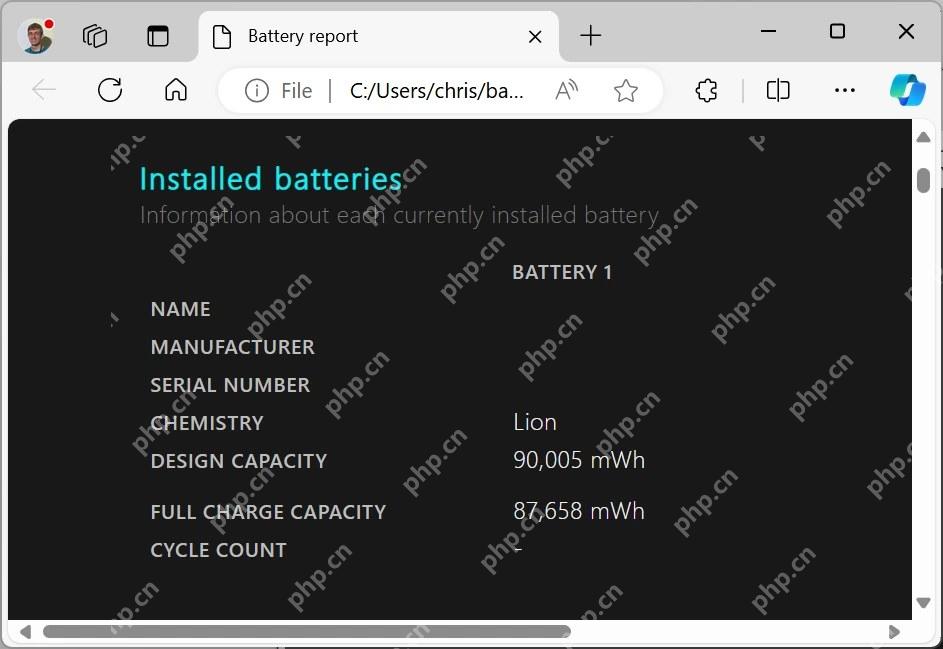 浏览器打开 battery-report.html 查看 Installed batteries