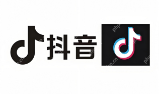 玩抖音赚钱的教程视频_玩抖音赚钱的教程视频方法详解助你快速变现 - php中文网