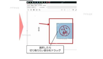 Adobe Acrobat 页面中拖出蓝色矩形选区,用于第二步完成 PDF 页面截图复制
