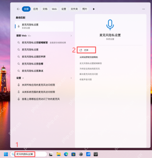 win11麦克风权限设置在哪里_win11麦克风访问权限设置入口介绍 - php中文网