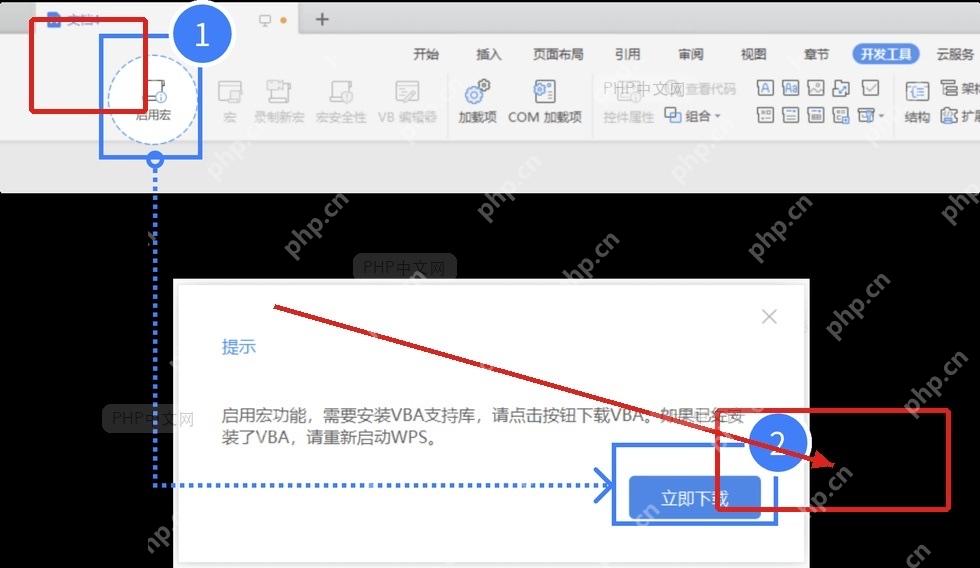 WPS表格中获取VBA宏使用权限的入口和立即开通按钮