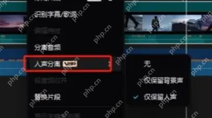 人声分离二级菜单里有仅保留背景声和仅保留人声