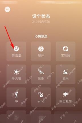 微信设置视频动态背景操作界面