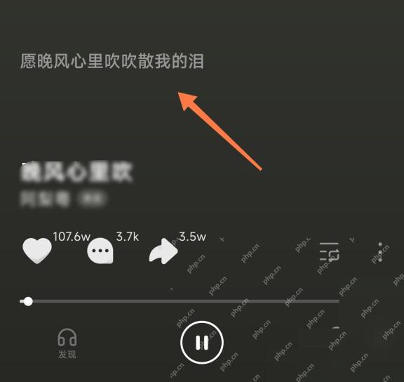 汽水音乐播放页点击歌词入口