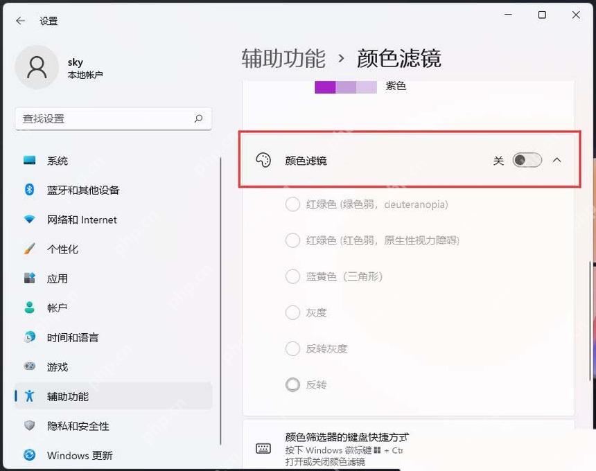Win11 颜色滤镜页面打开颜色滤镜开关