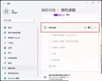 Win11 颜色滤镜页面打开颜色滤镜开关