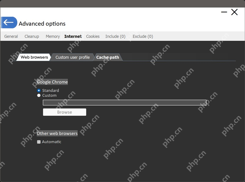 PrivaZer Advanced options 的 Internet 浏览器检测设置