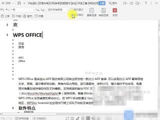 Word在文档大纲视图中如何显示所有文字内容的格式?设置效果