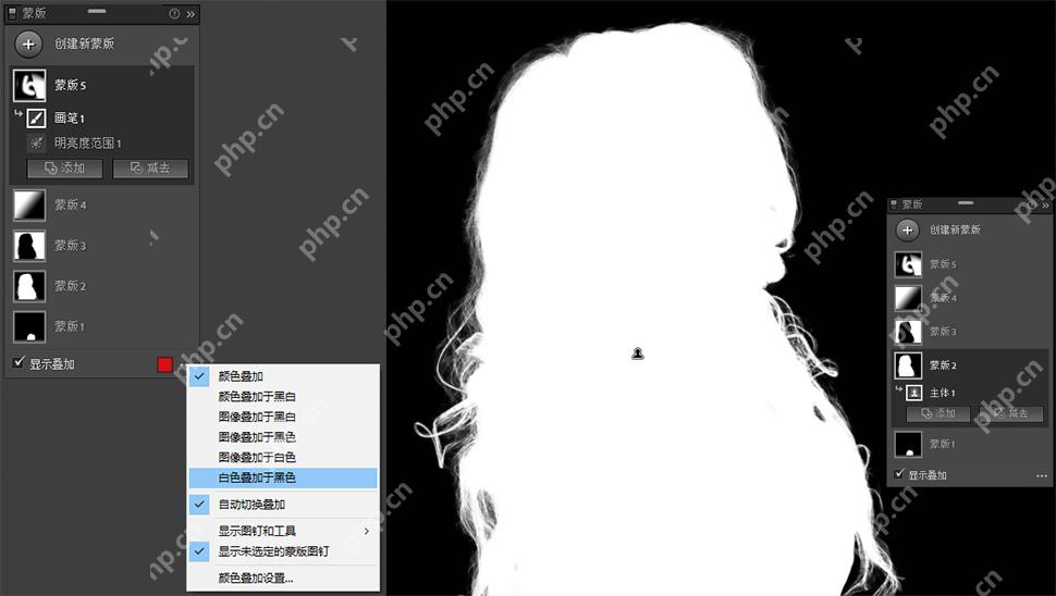 中文 Lightroom 中的蒙版选项与范围显示