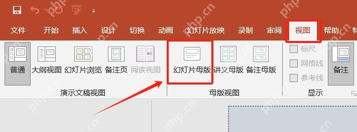 PowerPoint 视图选项卡中的幻灯片母版入口