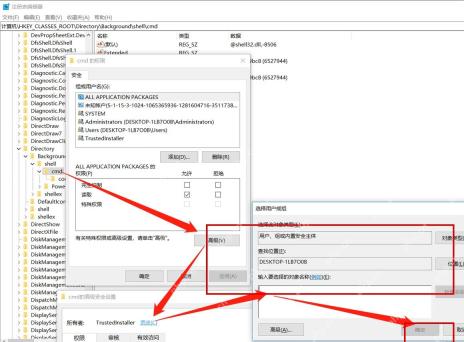 Win11 注册表项高级安全设置中查看所有者和权限项