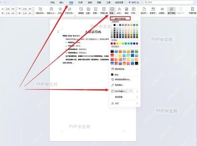 WPS文字删除页面背景入口