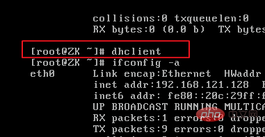 Linux cannot ping the external network