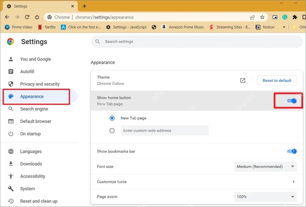 Chrome 外观与主页设置界面