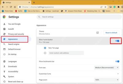 Chrome 外观与主页设置界面