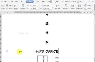 WPS如何设置页面布局的字体类型?结果检查