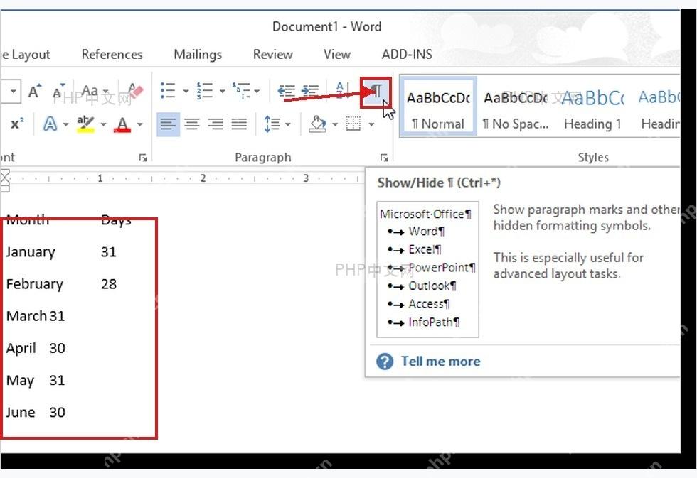 Word 文档中显示制表符和段落标记用于整理文字分隔符