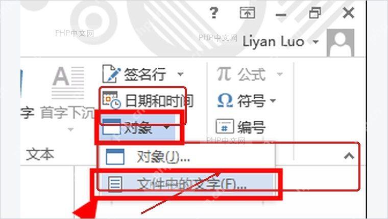 Word 对象下拉菜单中标出文件中的文字命令