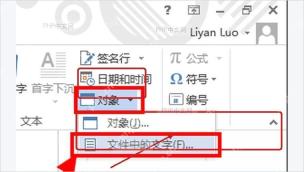 Word 对象下拉菜单中标出文件中的文字命令