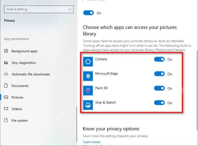 Win10 Pictures 页面单独设置 Cortana Edge Paint 3D 图片访问权限