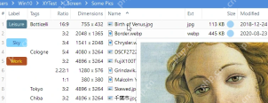 XYplorer 文件列表中的大小和修改时间列