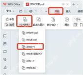 进入WPS PDF转PPT面板并确认文件列表