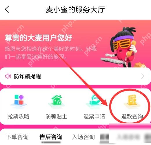 大麦服务大厅退款查询入口