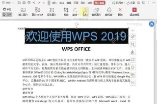 如何翻转PDF文件中的图片?设置效果