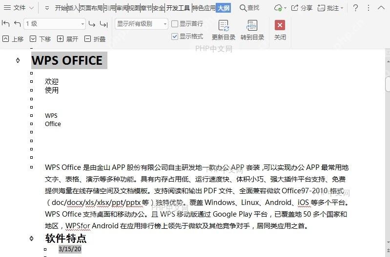 在文档大纲视图中如何直接调整项目级别?结果检查