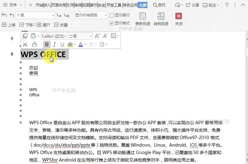 在文档大纲视图中如何折叠所选项目?设置效果