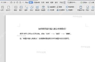 如何修改图片插入默认布局格式?入口位置