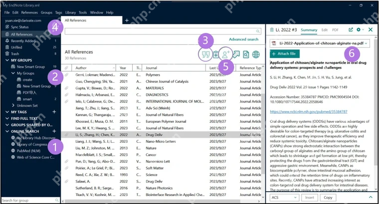 EndNote 21 Windows 文献库打开后的左侧分组中间列表和右侧详情区